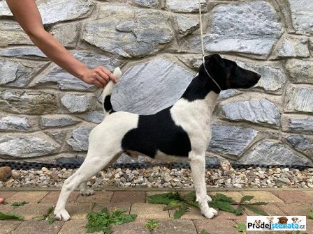 detailní fotografie