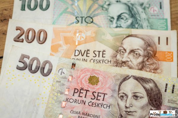 detailní fotografie