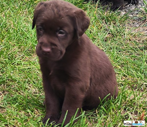 detailní fotografie