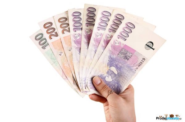 detailní fotografie