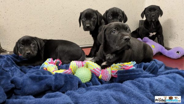 detailní fotografie