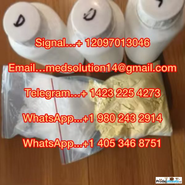 detailní fotografie