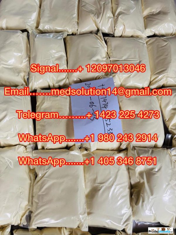 detailní fotografie