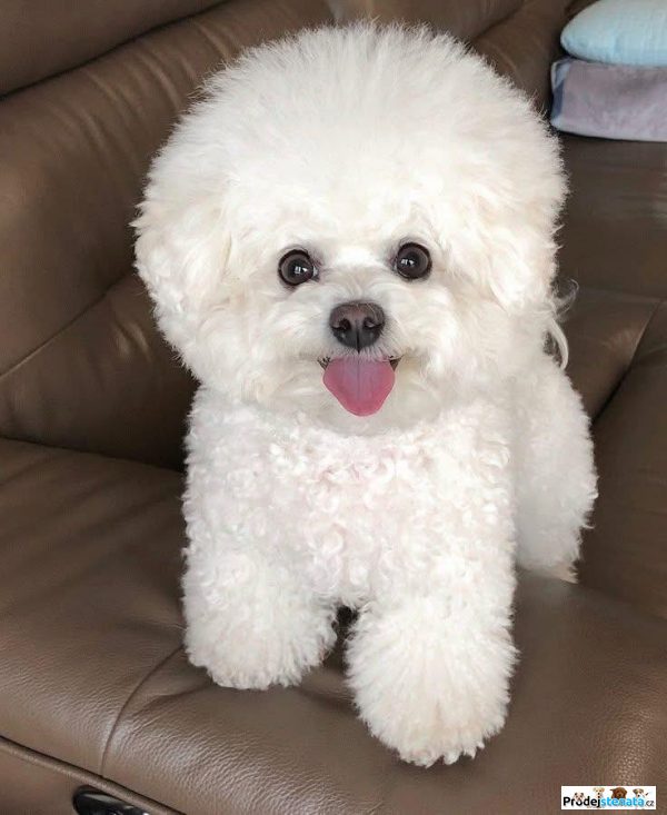 detailní fotografie