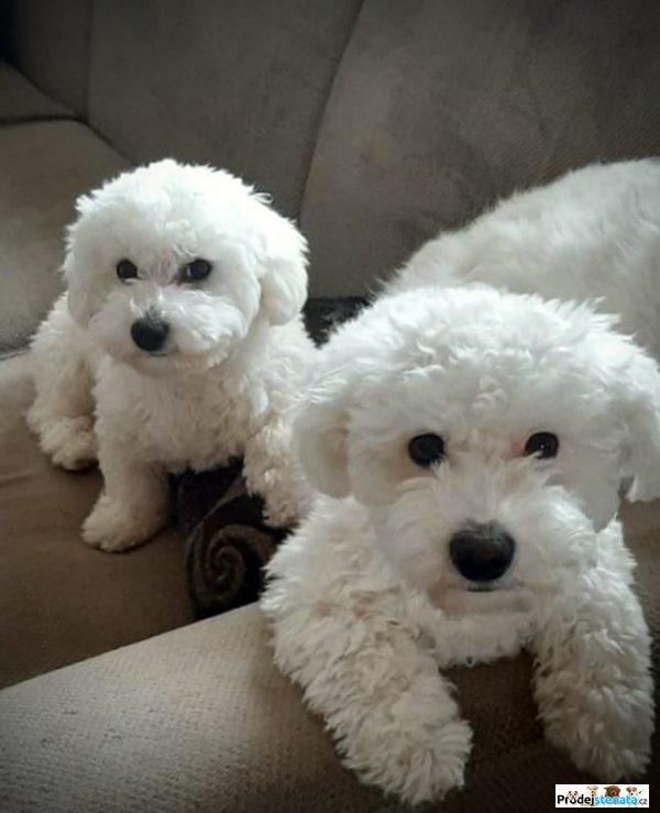 detailní fotografie