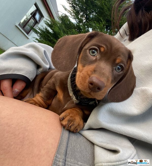 detailní fotografie