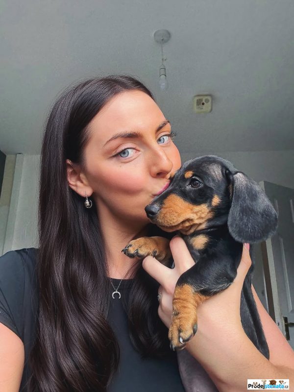 detailní fotografie