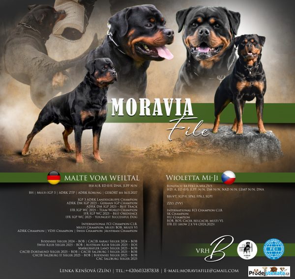 detailní fotografie