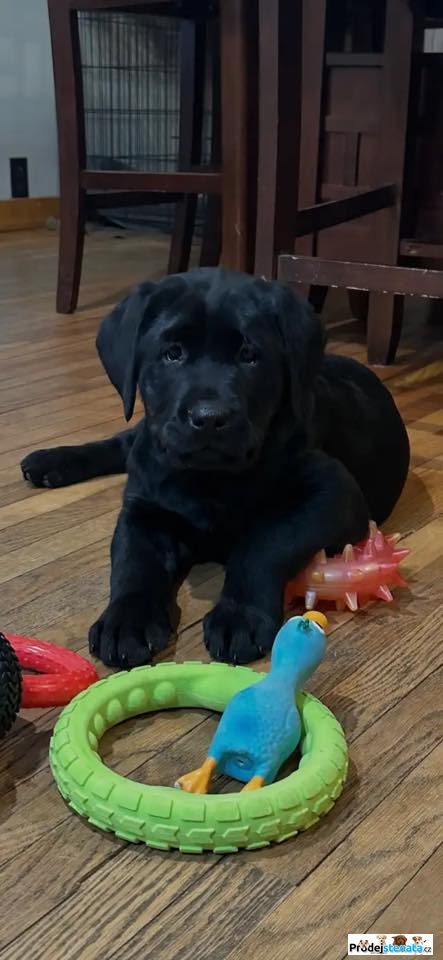 detailní fotografie